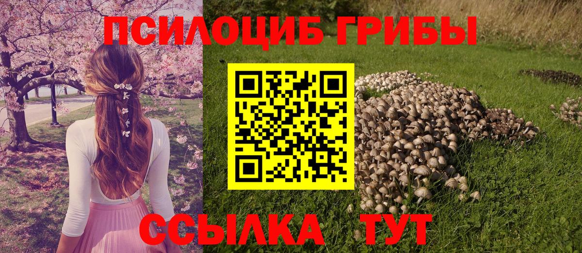 Галлюциногенные грибы GOLDEN TEACHER Комсомольск-на-Амуре