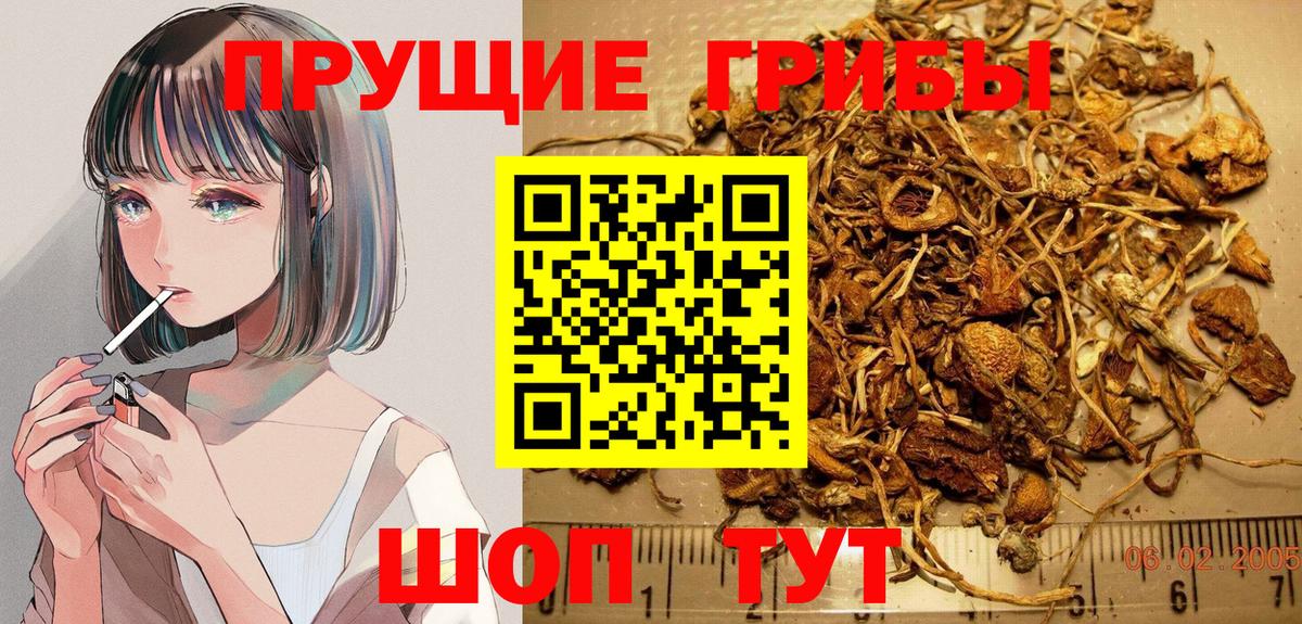 Комсомольск-на-Амуре  Псилоцибиновые грибы Cubensis  Вход с VPN  Галлюциногенные грибы ЛСД 